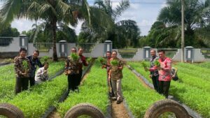 Lapas Banyuasin Panen 50 kg Sayur Kangkung Hasil Budidaya Warga Binaan*