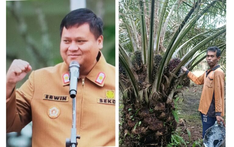 Pemda Banyuasin Segera Selidiki Lahan Warga yang Hendak di Gusur Perusahaan