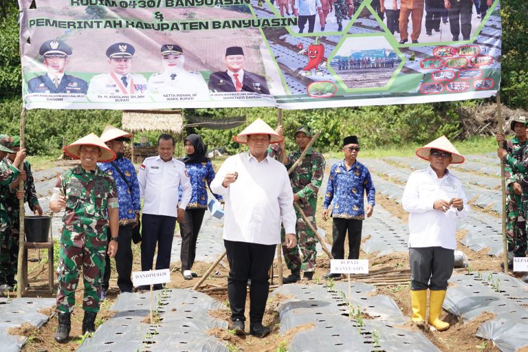 Sinergitas Bersama, Dandim dan Pemkab Banyuasin Tanam 30 Ribu Bibit Cabai