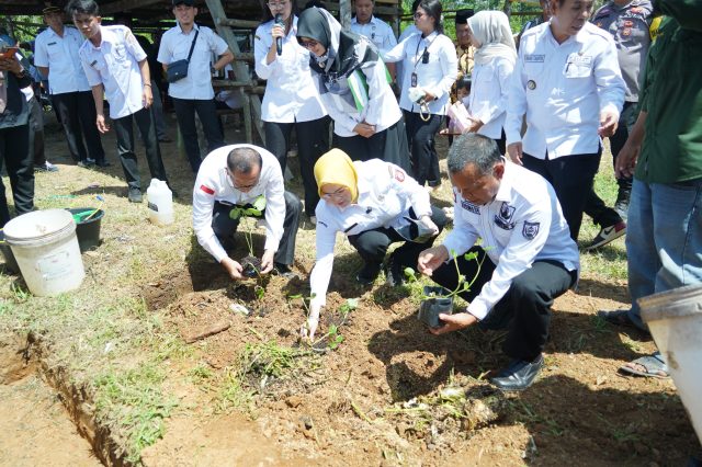 Inovatif! Pemkab Banyuasin Gunakan Teknologi Biowash Pada Sampah Organik Menjadi Pupuk Organik
