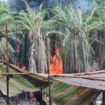 Penegakan Hukum Mandul, Usaha Ilegal di Muba Kian Menjamur Penegakan Hukum Mandul, Usaha Ilegal di Muba Kian Menjamur