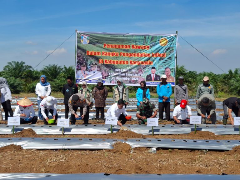 Kendalikan Inflasi, Bupati Banyuasin Tanam Bawang Merah Di Desa Duren Ijo