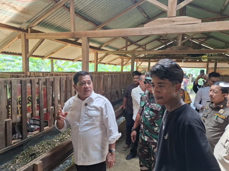 Bupati Banyuasin Askolani Tinjau Duren Ijo Peternakan Dan Penggemukan Kambing